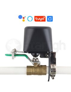 STW-VALVE