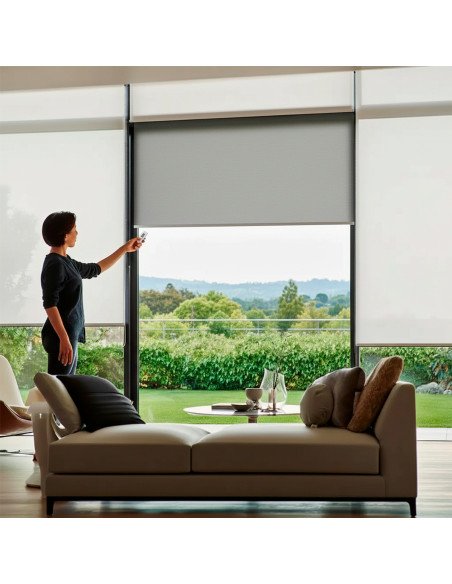 Transmisor Económico motor tubular | STARLIGH