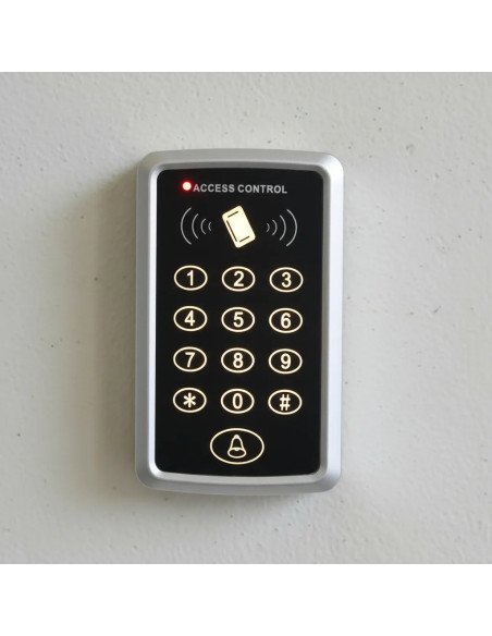 Control Accesos Económico | STARLIGH