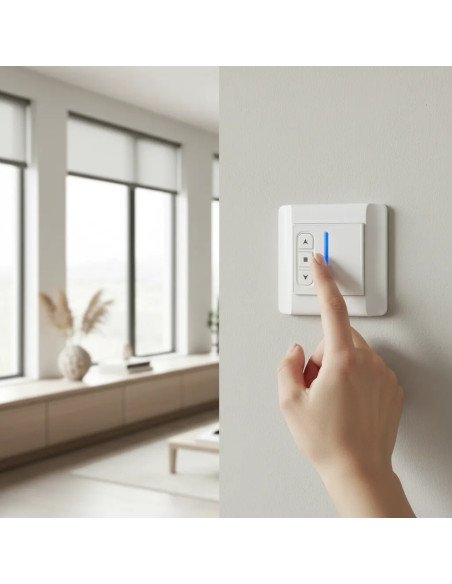 Switch transmisor montaje en pared e inalámbrico 1 canal