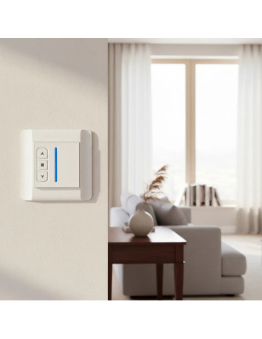 Switch transmisor montaje en pared e inalámbrico 1 canal