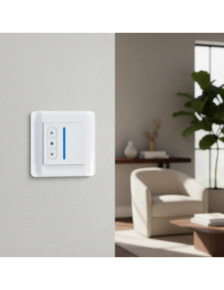 Switch transmisor montaje en pared e inalámbrico 1 canal