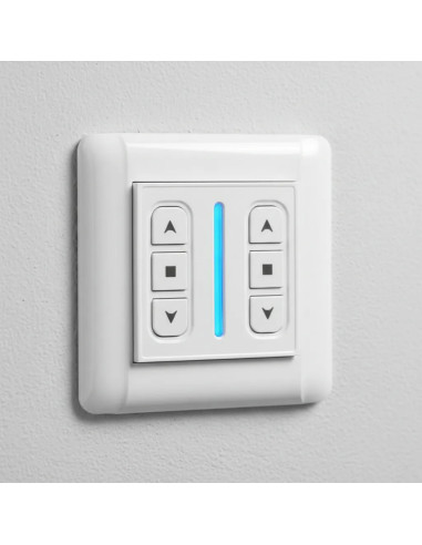 Receptor pared motor tubular doble con botonera