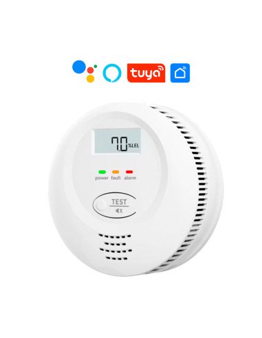 STW-DETMON